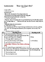 Giáo án Tự nhiên và xã hội Lớp 2 (Chân trời sáng tạo) - Tuần 15 - Bài Thực vật sống ở đâu